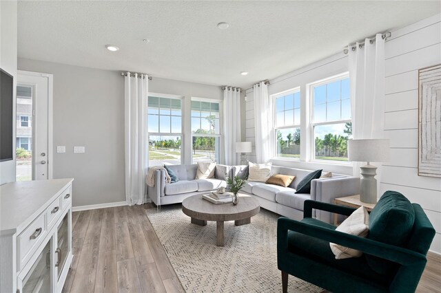 living room with light hardwood / wood-style floors