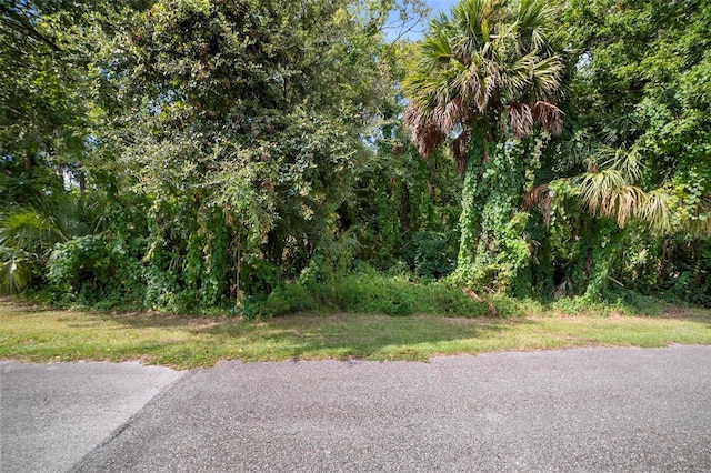 Listing photo 3 for Martin St, New Smyrna Beach FL 32168