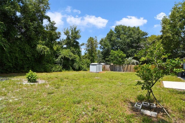 view of yard featuring a storage unit