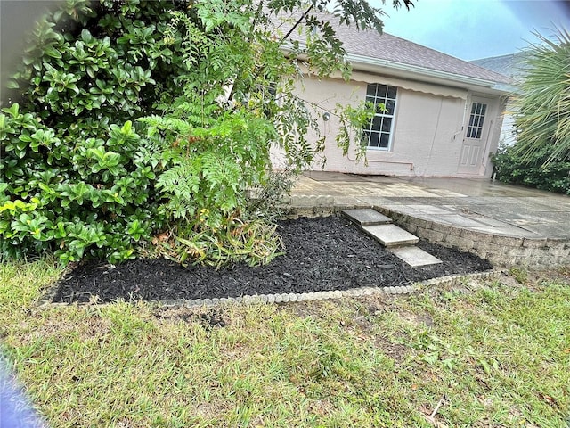 view of yard featuring a patio