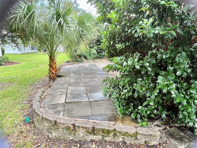 view of yard featuring a patio area