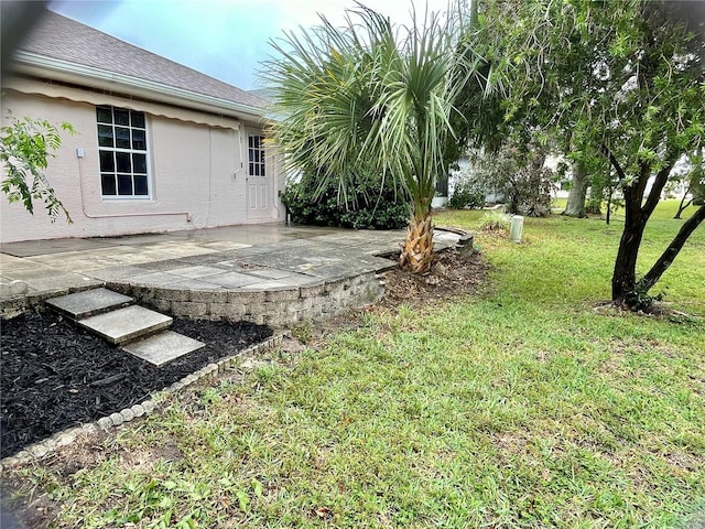 view of yard featuring a patio area