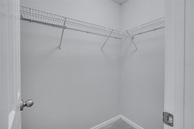 view of walk in closet