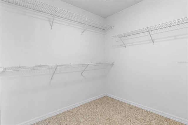 spacious closet with carpet floors