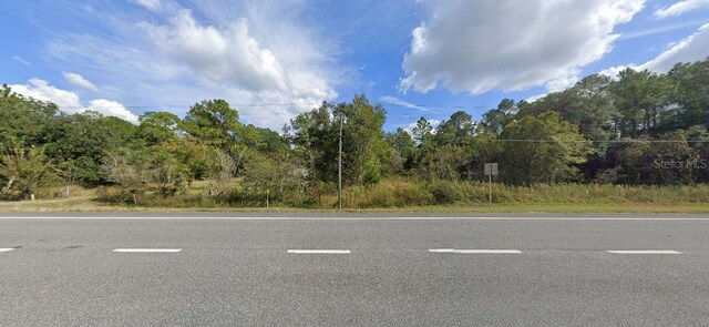 7338 Treiman Blvd, Webster, FL 33597 - photo 2