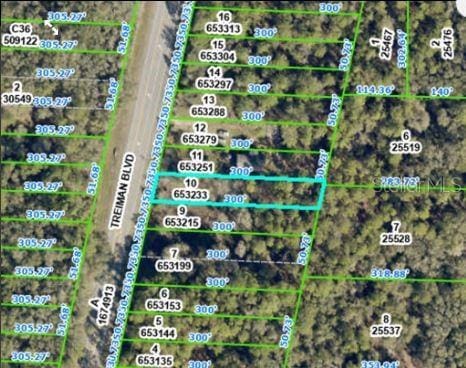 7338 Treiman Blvd, Webster, FL 33597 - photo 3
