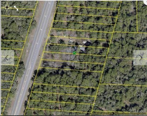 7338 Treiman Blvd, Webster, FL 33597 - photo 4