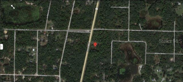 7338 Treiman Blvd, Webster, FL 33597 - photo 6