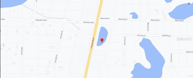 7338 Treiman Blvd, Webster, FL 33597 - photo 7