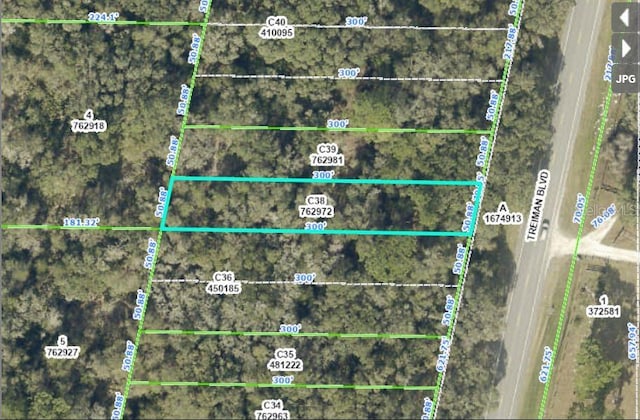 Treiman Blvd, Webster FL, 33597 land for sale