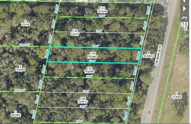 Treiman Blvd, Webster FL, 33597 land for sale