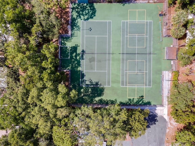 236 Peppertree Ct, Lake Mary, FL 32746 - bird's eye view