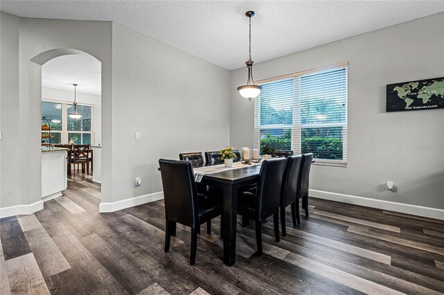 dining room with dark hardwood / wood-style floors and a textured ceiling