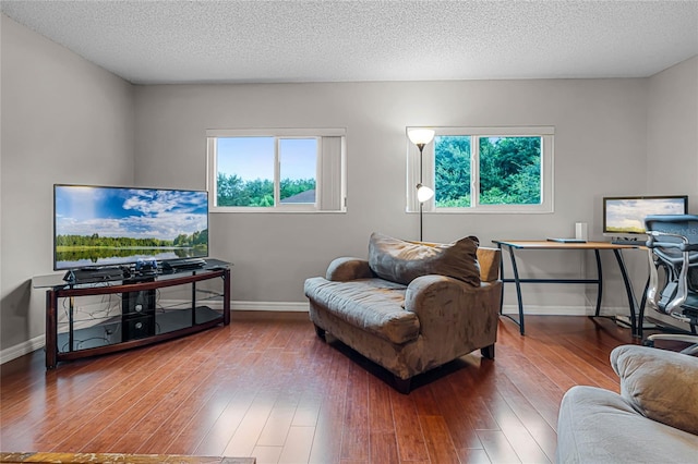 living room with a textured ceiling and hardwood / wood-style floors