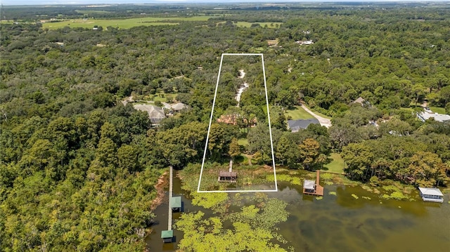 birds eye view of property featuring a water view and a view of trees