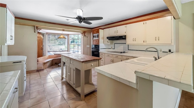 kitchen with crown molding, a sink, under cabinet range hood, and black appliances