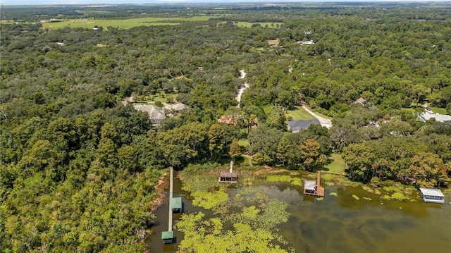 birds eye view of property with a forest view and a water view