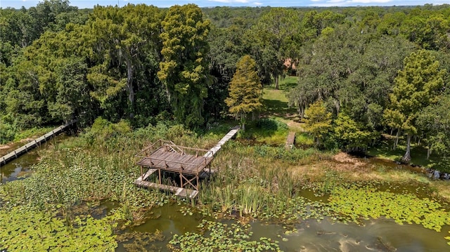 view of property's community with a water view and a wooded view