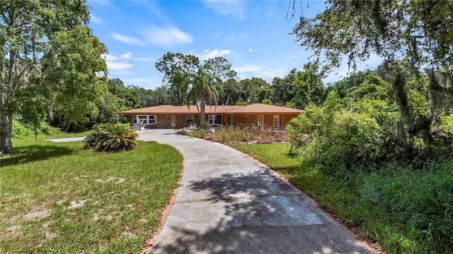 ranch-style house featuring a front yard and a view of trees