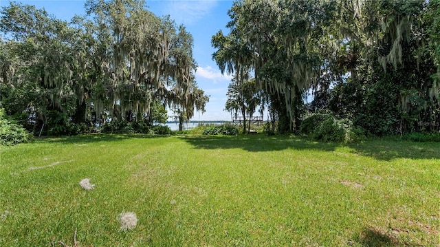 view of yard with a water view