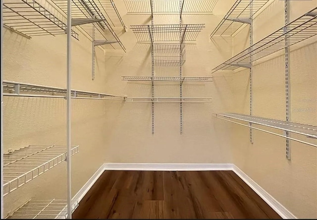 spacious closet with wood-type flooring