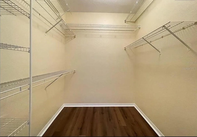 spacious closet featuring hardwood / wood-style floors