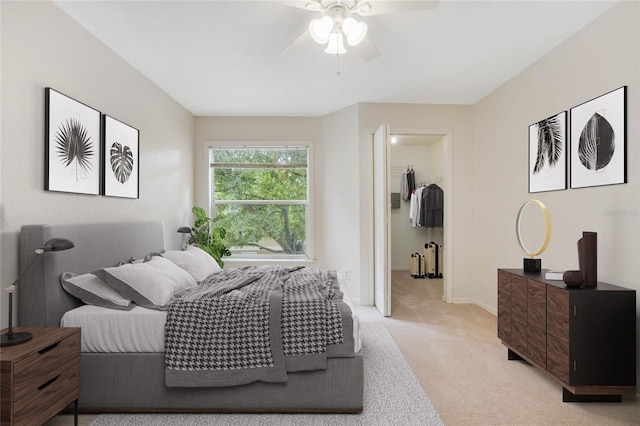 bedroom featuring a walk in closet, ceiling fan, and light carpet