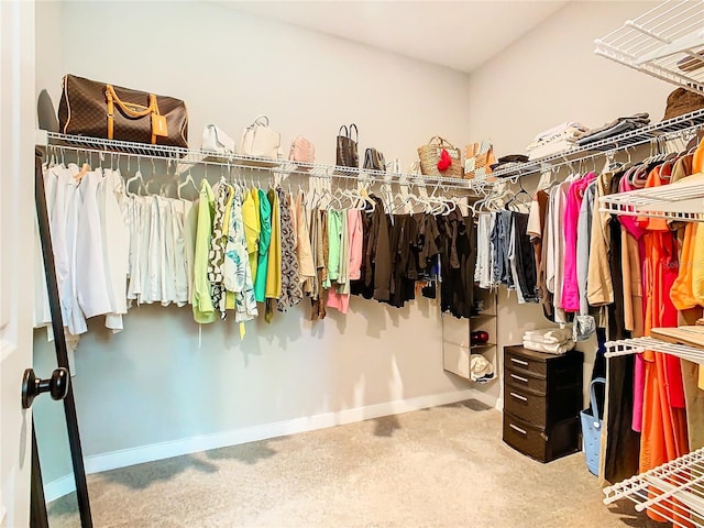 walk in closet featuring carpet floors