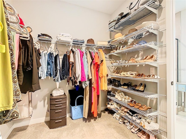 spacious closet featuring carpet floors