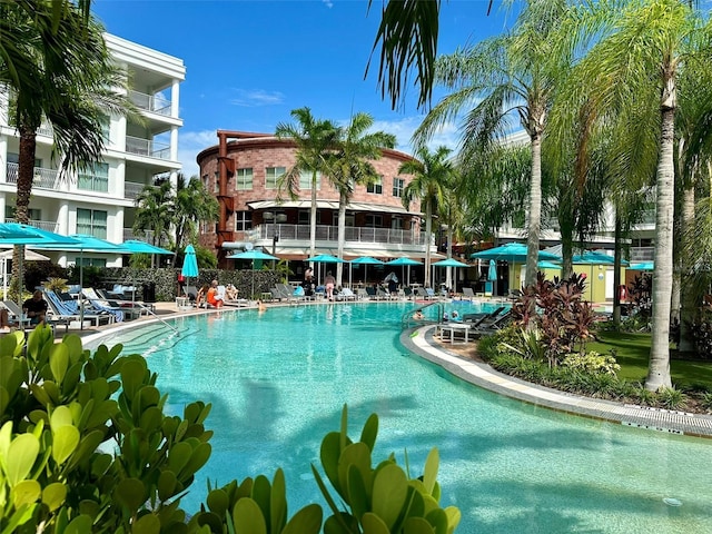 view of swimming pool