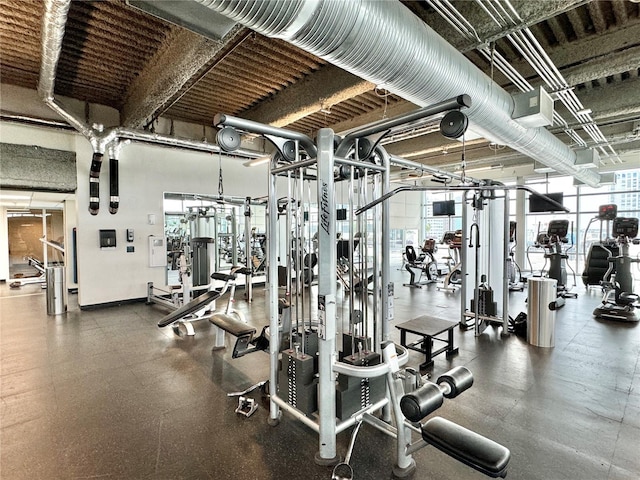 exercise room with plenty of natural light