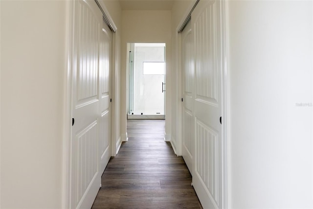 hallway with dark wood-type flooring