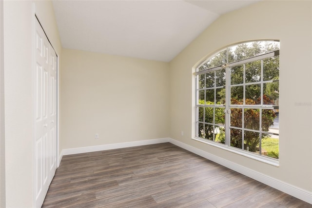 unfurnished bedroom with vaulted ceiling, multiple windows, and wood-type flooring