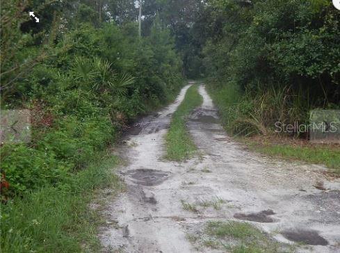 Maryland St, Paisley, FL 32767 - photo 2