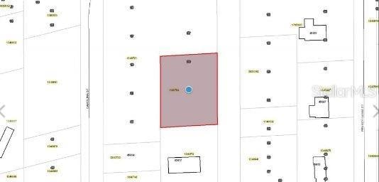 Maryland St, Paisley, FL 32767 - photo 3