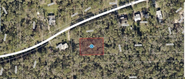 River Rd, Astor FL, 32102 land for sale