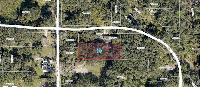 Yalaha Rd, Yalaha FL, 34797 land for sale