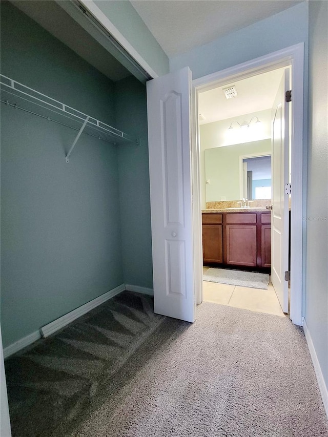 closet featuring sink