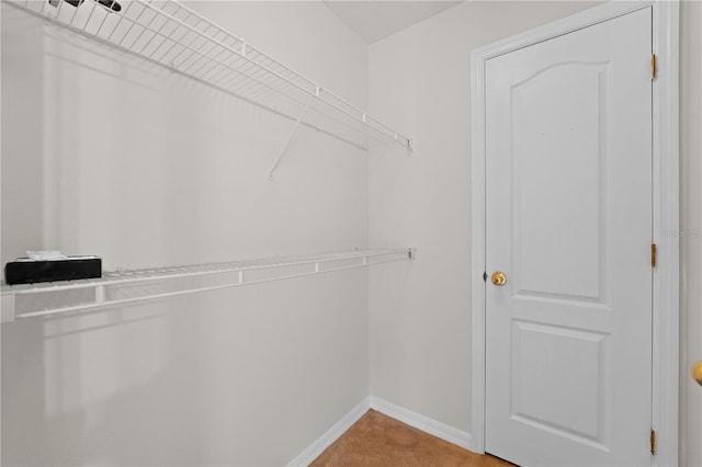 walk in closet featuring carpet flooring