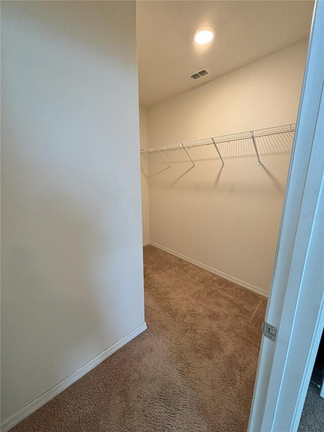 walk in closet featuring visible vents and carpet flooring