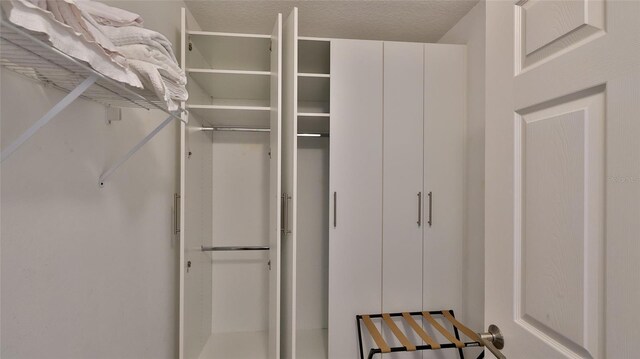 5300 S Atlantic Ave Unit 16-602, New Smyrna Beach, FL 32169 - view of spacious closet