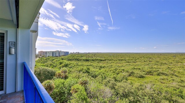 5300 S Atlantic Ave Unit 16-602, New Smyrna Beach, FL 32169 - view of balcony