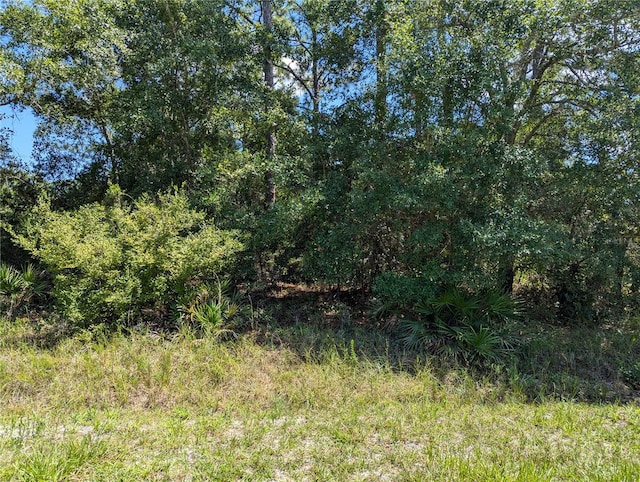 Bud Crum Rd, Panacea FL, 32346 land for sale