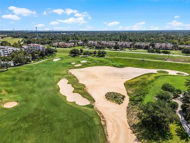 bird's eye view