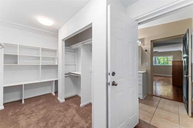 spacious closet with light carpet