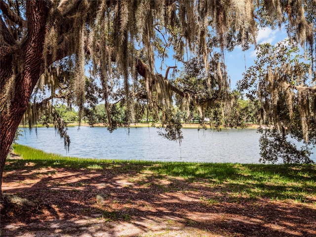 view of water feature