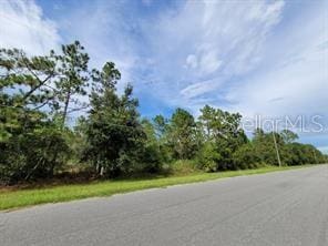 LOT233 Quarterly Pkwy, Orlando FL, 32833 land for sale