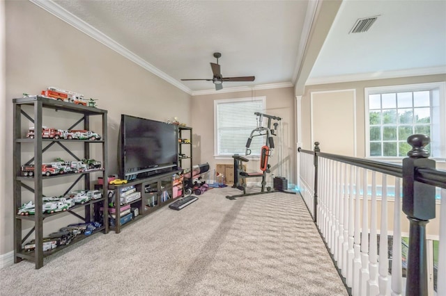 workout area with crown molding, ceiling fan, and carpet floors