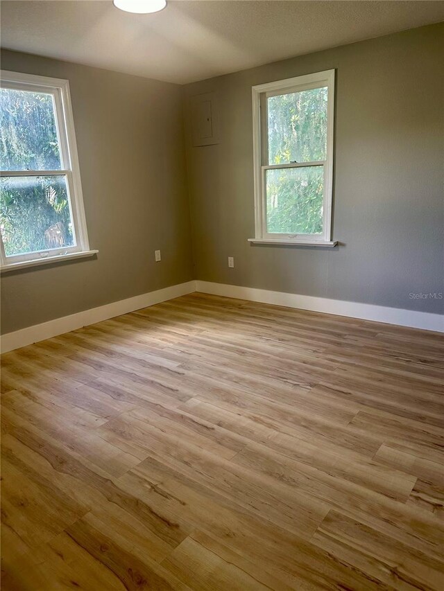 empty room featuring light wood finished floors, plenty of natural light, and baseboards