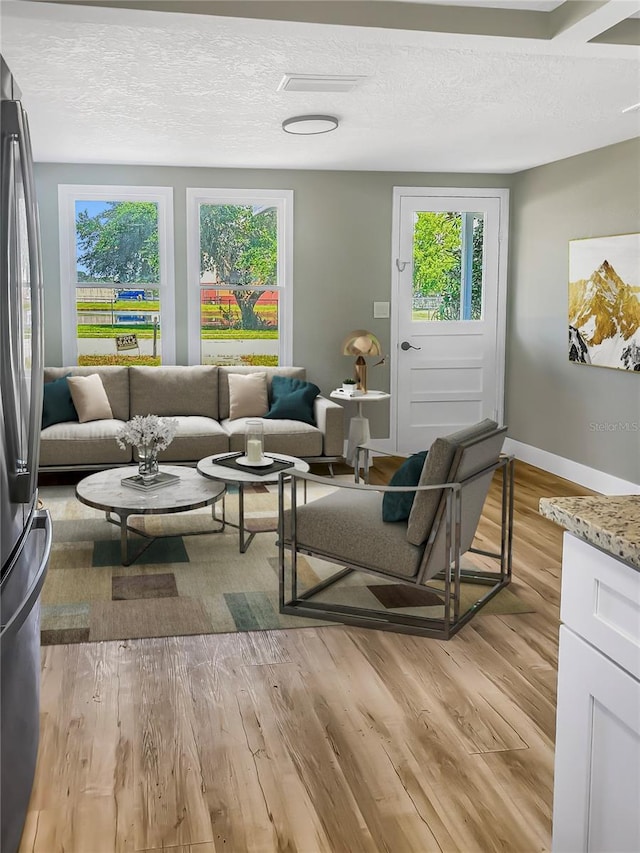 living area with a healthy amount of sunlight, a textured ceiling, light wood-type flooring, and baseboards